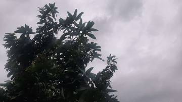 Monsun Asia Sebabkan Semarang Dingin 